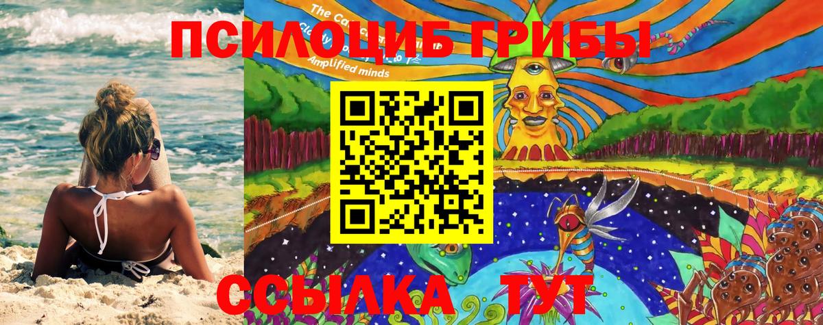 Псилоцибиновые грибы Magic Shrooms  Вход с VPN  Трёхгорный 